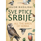 SVE PTICE SRBIJE / ALL THE BIRDS OF SERBIA - Javor Rašajski