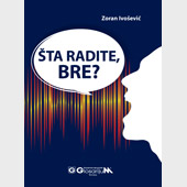 ŠTA RADITE, BRE? - Prof. dr Zoran M. Ivošević