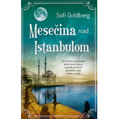 MESEČINA NAD ISTANBULOM - Sofi Goldberg