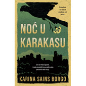 NOĆ U KARAKASU - Karina Sains Borgo